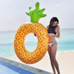 Circle pineapple swimming ring - Image 4
